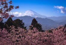 أفضل وجهات السفر في أبريل حول العالم مع الطبيعة والزهور في فصل الربيع