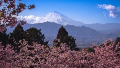 أفضل وجهات السفر في أبريل حول العالم مع الطبيعة والزهور في فصل الربيع