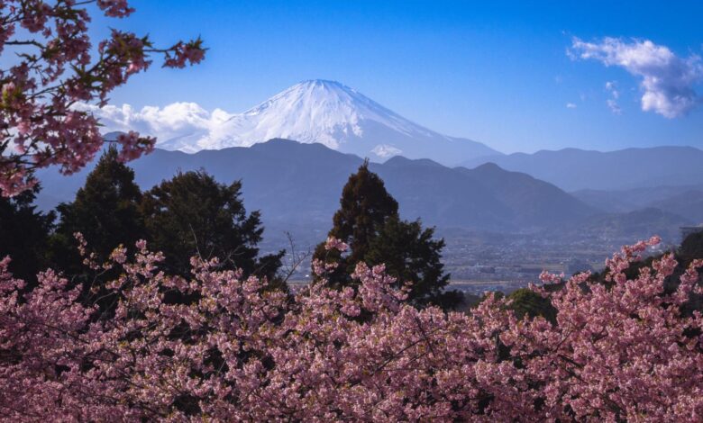 أفضل وجهات السفر في أبريل حول العالم مع الطبيعة والزهور في فصل الربيع